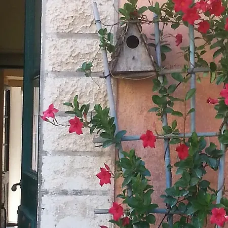 Via Cavasola